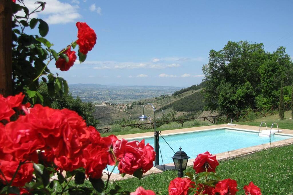 All Stone Horse Stable Converted To Elegant Apartment - Baltimora Spoleto Zewnętrze zdjęcie