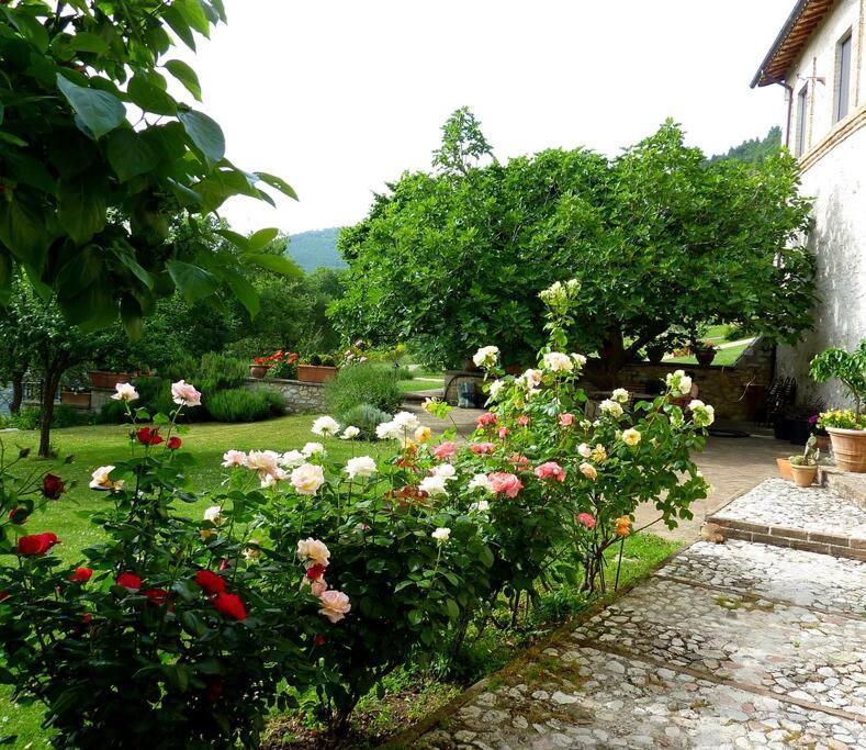All Stone Horse Stable Converted To Elegant Apartment - Baltimora Spoleto Zewnętrze zdjęcie